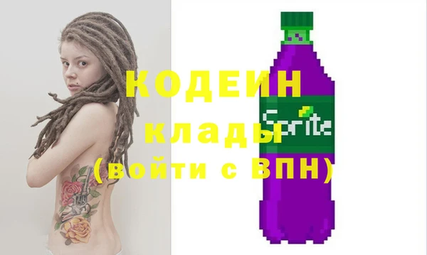 тгк Инта