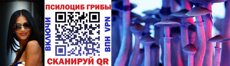 KRAKEN зеркало  Псков  Псилоцибиновые грибы мухоморы 