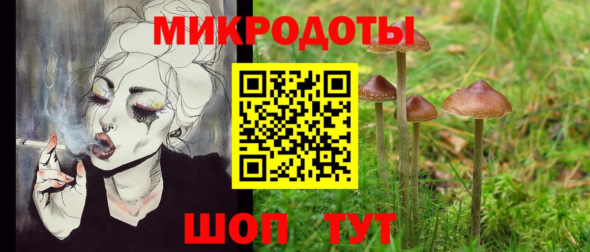 Галлюциногенные грибы MAGIC MUSHROOMS  где можно купить наркотик  Вход с VPN  Псков  Галлюциногенные грибы мухоморы 